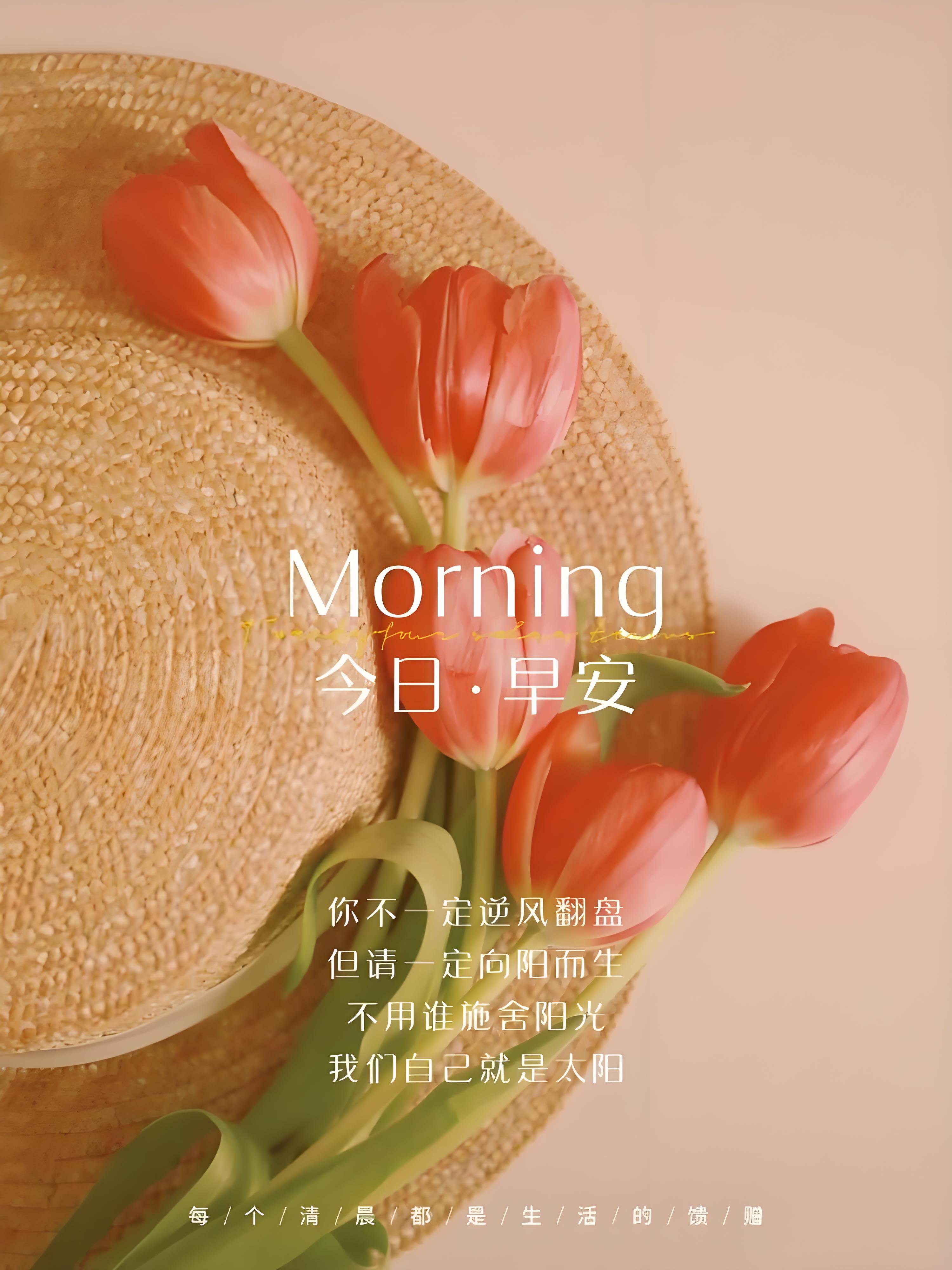 向阳而生!球队撂下翻盘,昂然前进的简单介绍 向阳而生!球队撂下翻盘,昂然前进的简单介绍