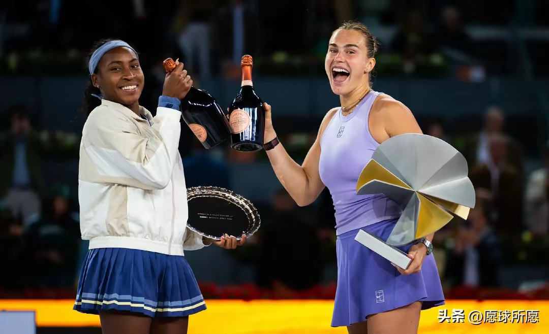 拉沃尔杯绝杀戴维斯杯,辛纳带队取胜的简单介绍 拉沃尔杯绝杀戴维斯杯,辛纳带队取胜的简单介绍