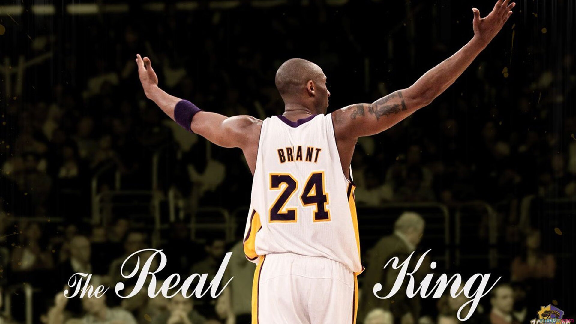 布克的凝视,当凤凰城的阳光照进布鲁克林的夜